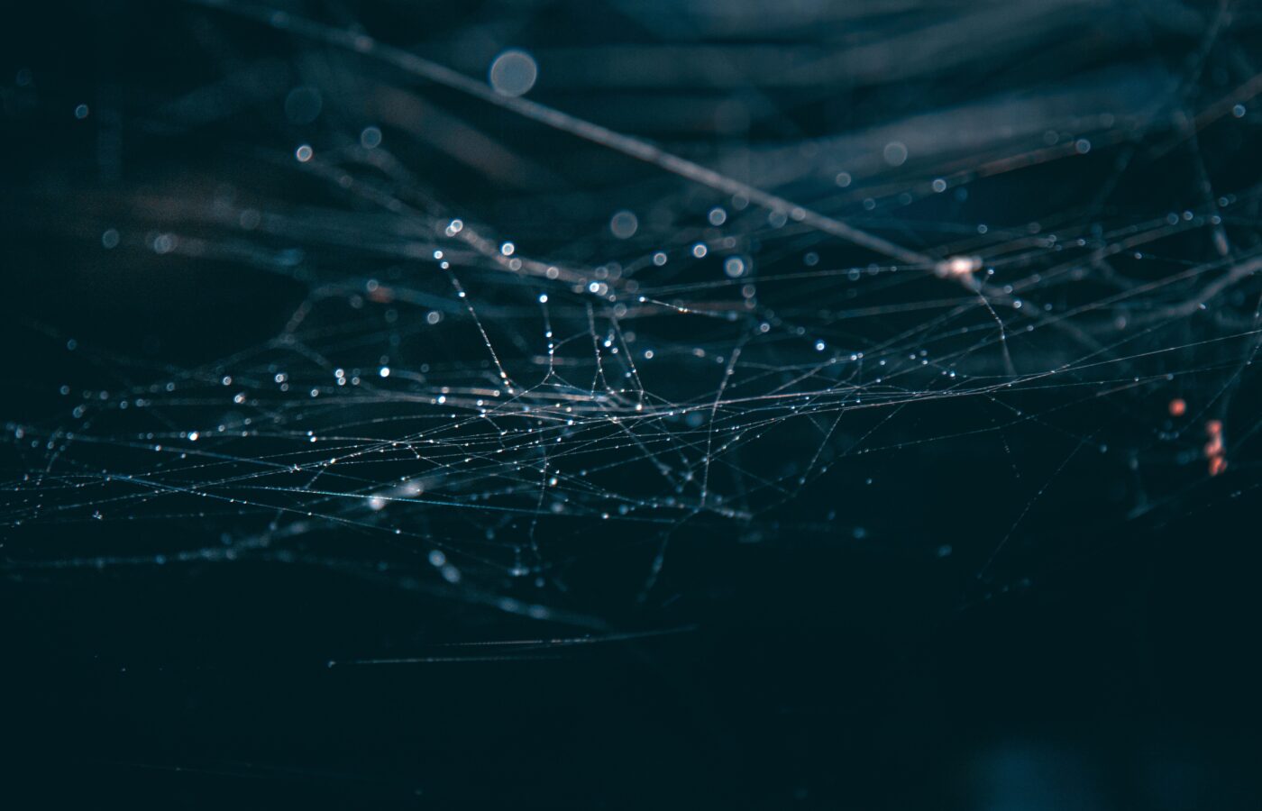 How to Use AI Memory to Track Your Life Patterns