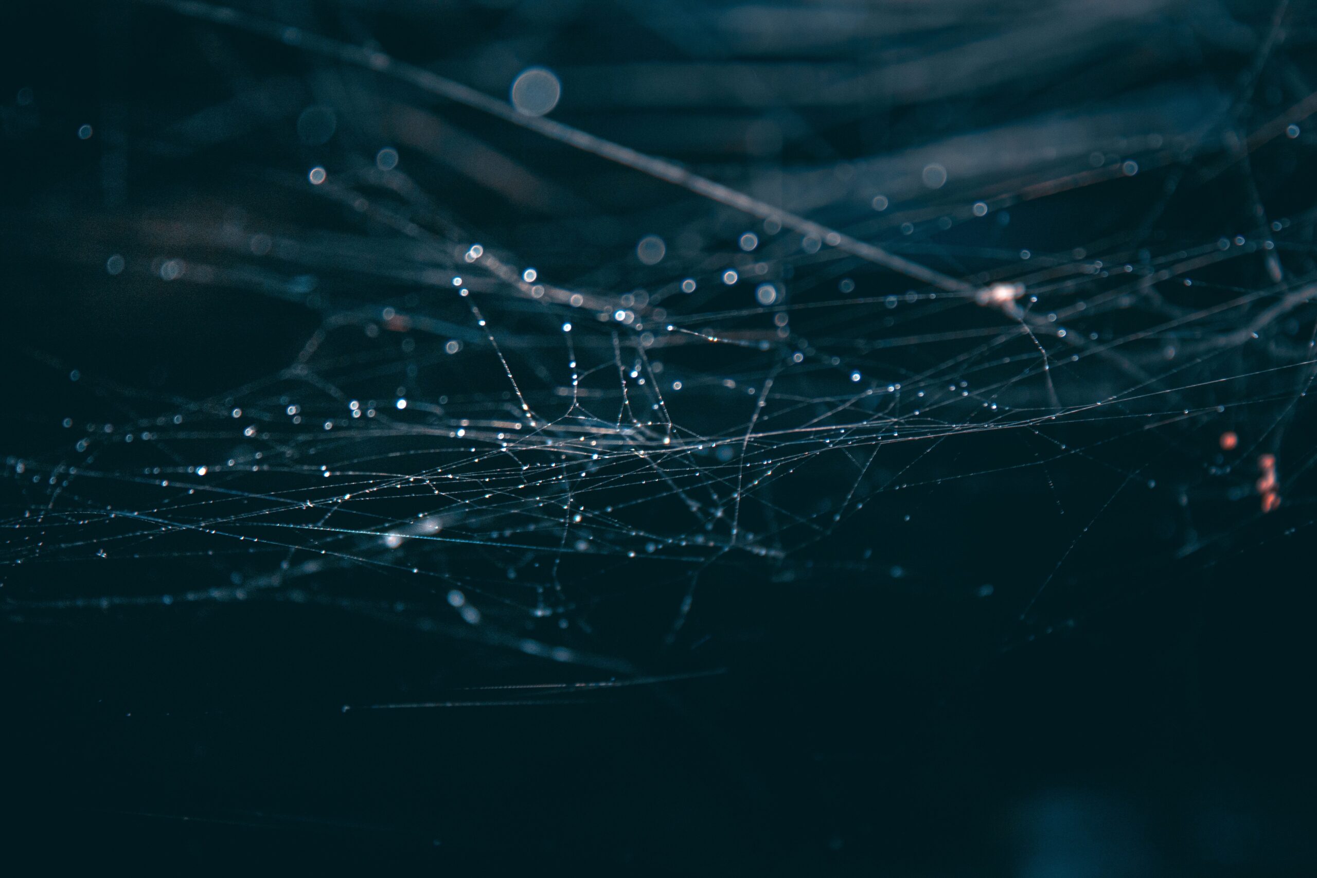 How to Use AI Memory to Track Your Life Patterns