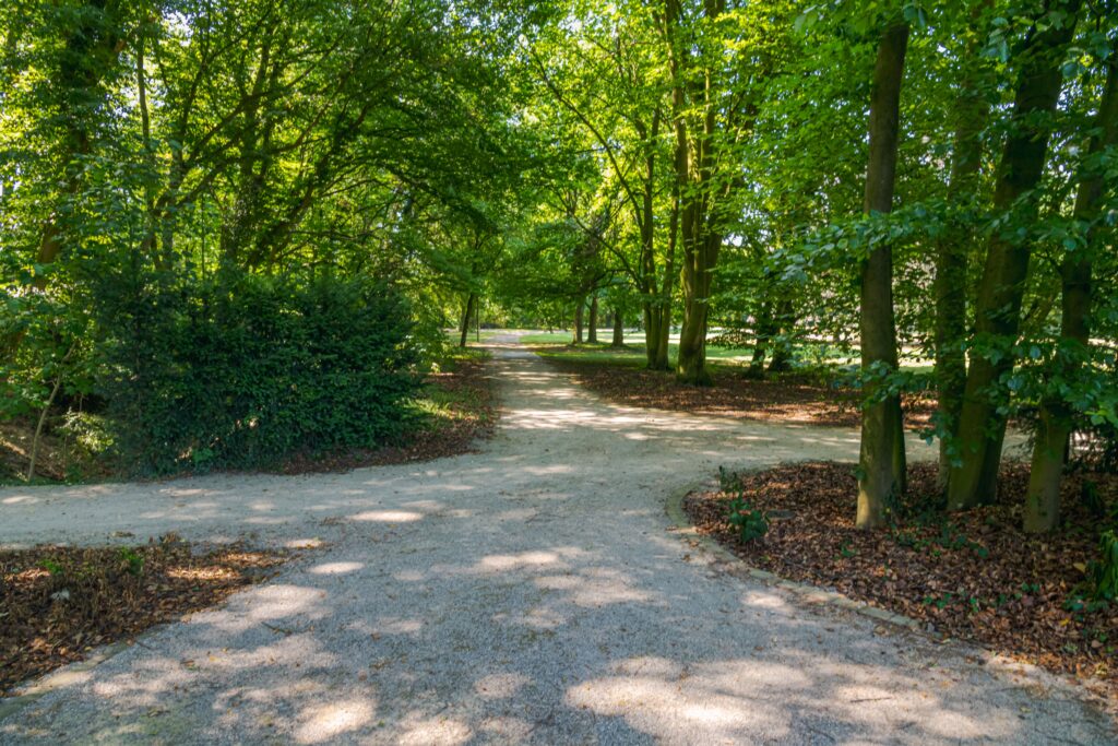 A path dividing into two directions, symbolising independent decisions and personal values.