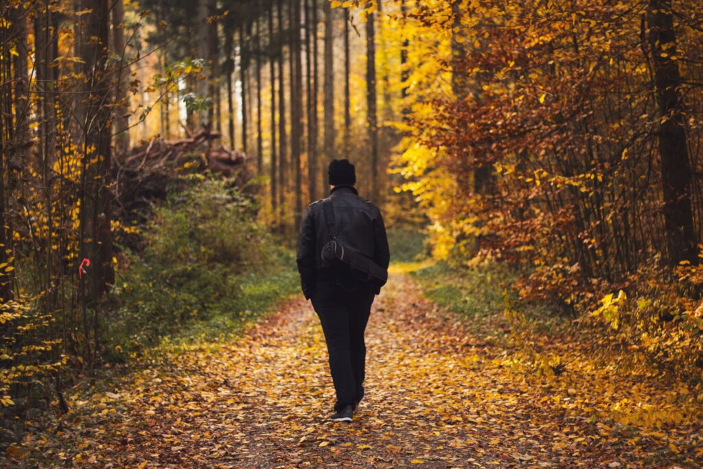 Person walking quietly through a misty forest, representing emotional reflection and reconnecting with the present.